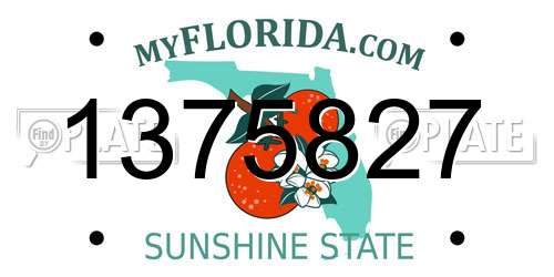 1375827 Florida License Plate