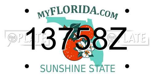 13758Z Florida License Plate