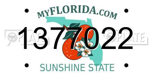 1377022 Florida License Plate