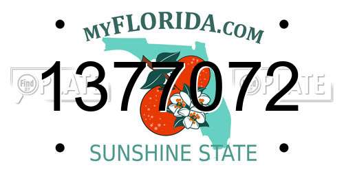 1377072 Florida License Plate