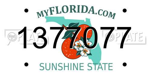 1377077 Florida License Plate