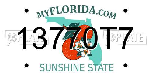 13770T7 Florida License Plate
