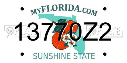 13770Z2 Florida License Plate