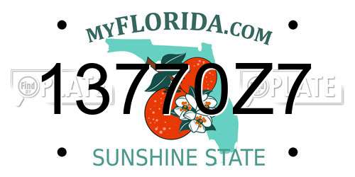 13770Z7 Florida License Plate
