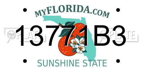 13771B3 Florida License Plate