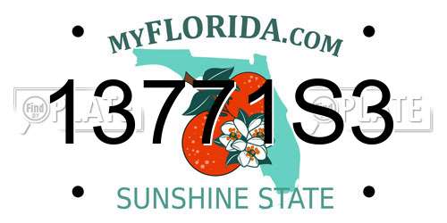 13771S3 Florida License Plate