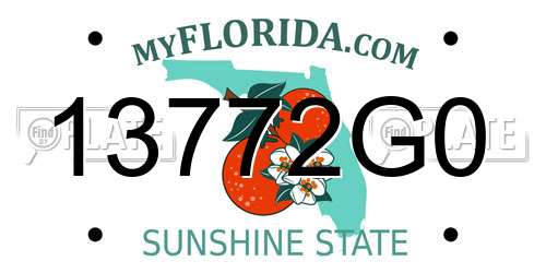 13772G0 Florida License Plate