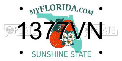 1377VN Florida License Plate
