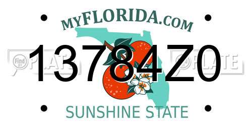 13784Z0 Florida License Plate