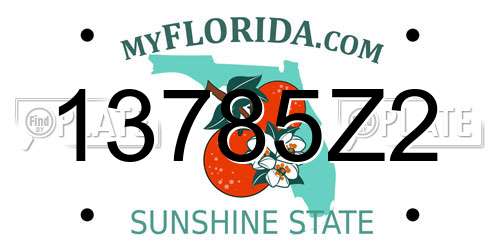 13785Z2 Florida License Plate