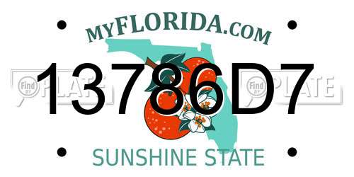 13786D7 Florida License Plate