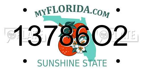 13786O2 Florida License Plate
