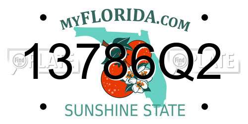 13786Q2 Florida License Plate