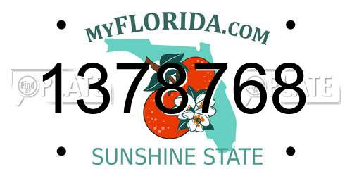1378768 Florida License Plate