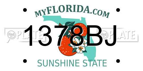 1378BJ Florida License Plate