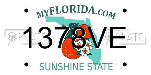 1378VE Florida License Plate