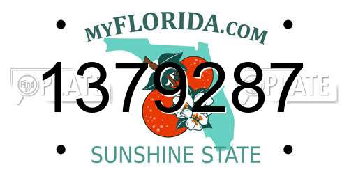 1379287 Florida License Plate