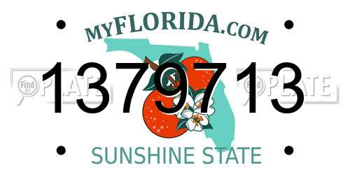 1379713 Florida License Plate