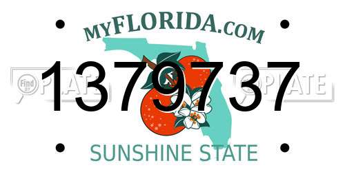 1379737 Florida License Plate