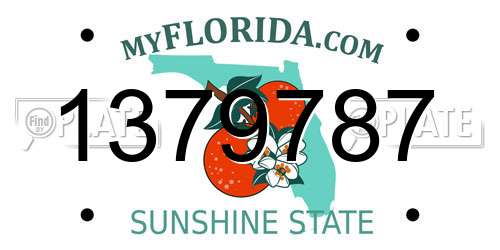 1379787 Florida License Plate