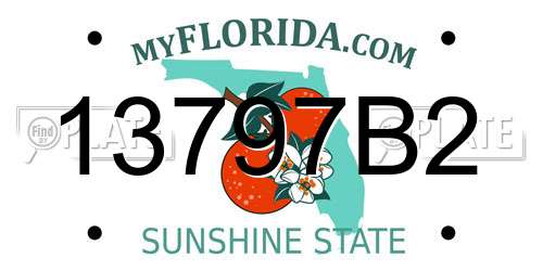 13797B2 Florida License Plate