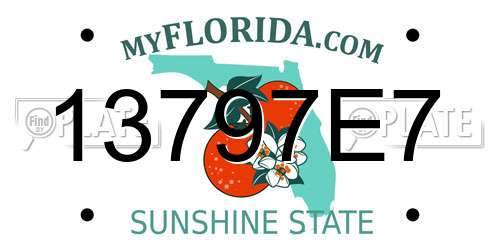 13797E7 Florida License Plate