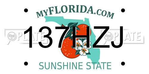 137HZJ Florida License Plate