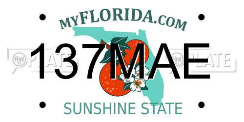 137MAE Florida License Plate