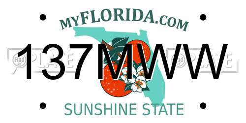 137MWW Florida License Plate