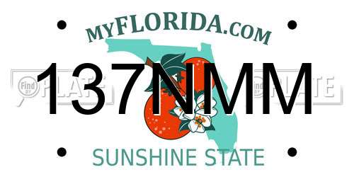 137NMM Florida License Plate