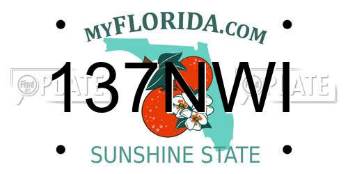 137NWI Florida License Plate