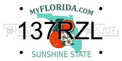 137RZL Florida License Plate