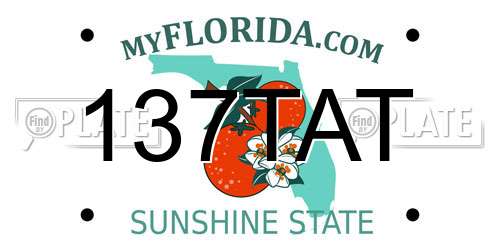 137TAT Florida License Plate
