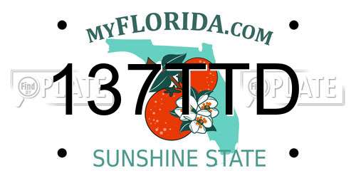 137TTD Florida License Plate