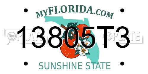 13805T3 Florida License Plate