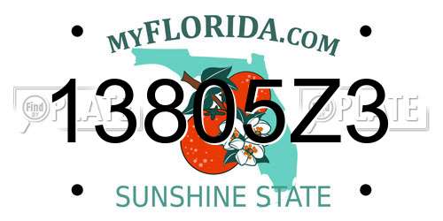 13805Z3 Florida License Plate
