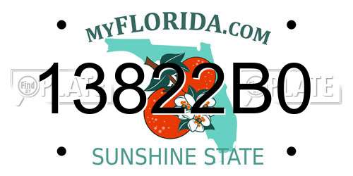 13822B0 Florida License Plate