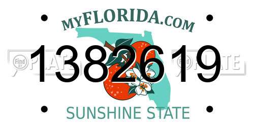 1382619 Florida License Plate