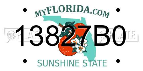 13827B0 Florida License Plate