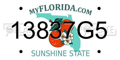 13837G5 Florida License Plate