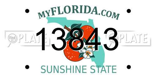 13843 Florida License Plate