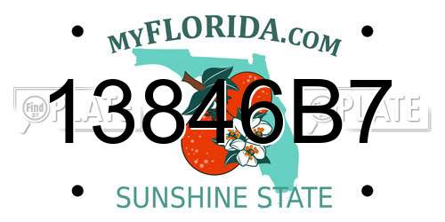 13846B7 Florida License Plate