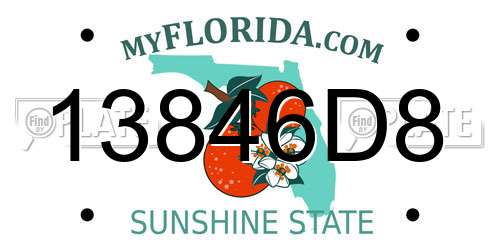 13846D8 Florida License Plate