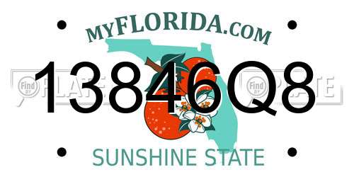 13846Q8 Florida License Plate
