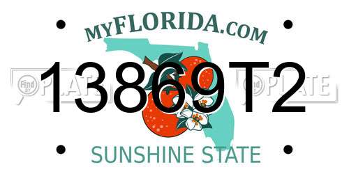 13869T2 Florida License Plate