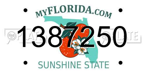 1387250 Florida License Plate