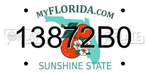 13872B0 Florida License Plate