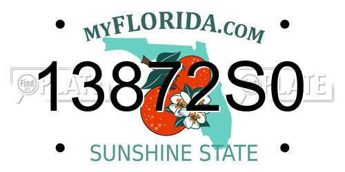 13872S0 Florida License Plate