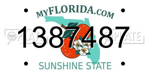 1387487 Florida License Plate