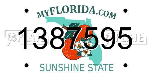 1387595 Florida License Plate